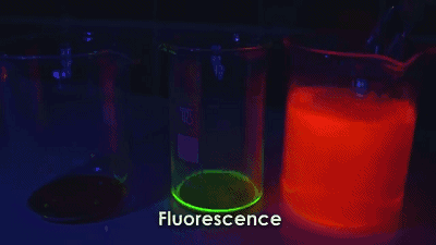 趣味实验：八个神奇的化学实验
