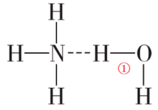 氨水中的氢键长啥样？